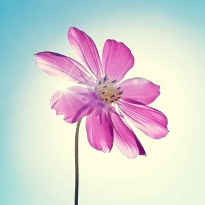 Meet your Posher, Michele